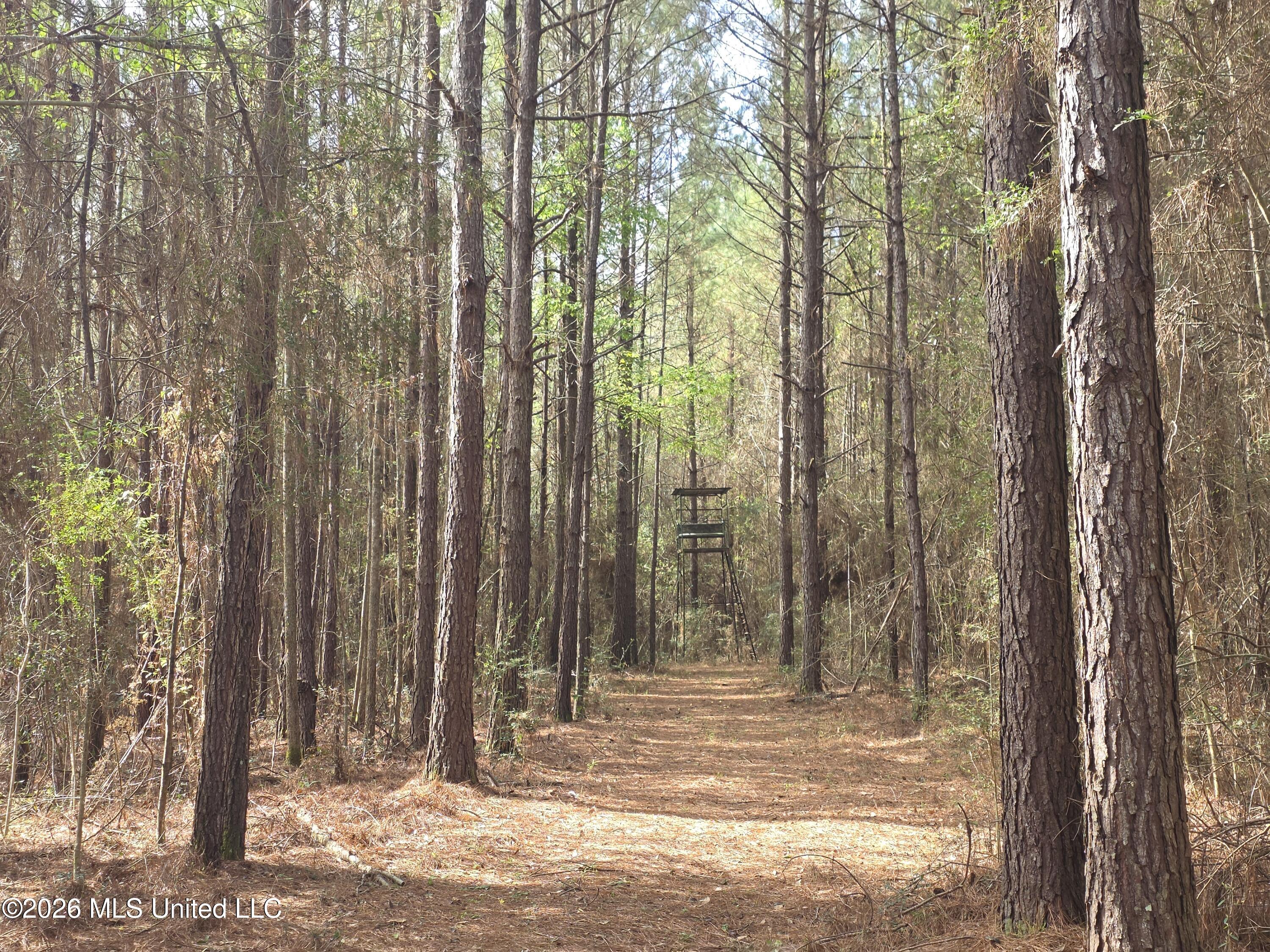 Conerly Drive McComb, MS 39648 - Photo 28 of 40 29394