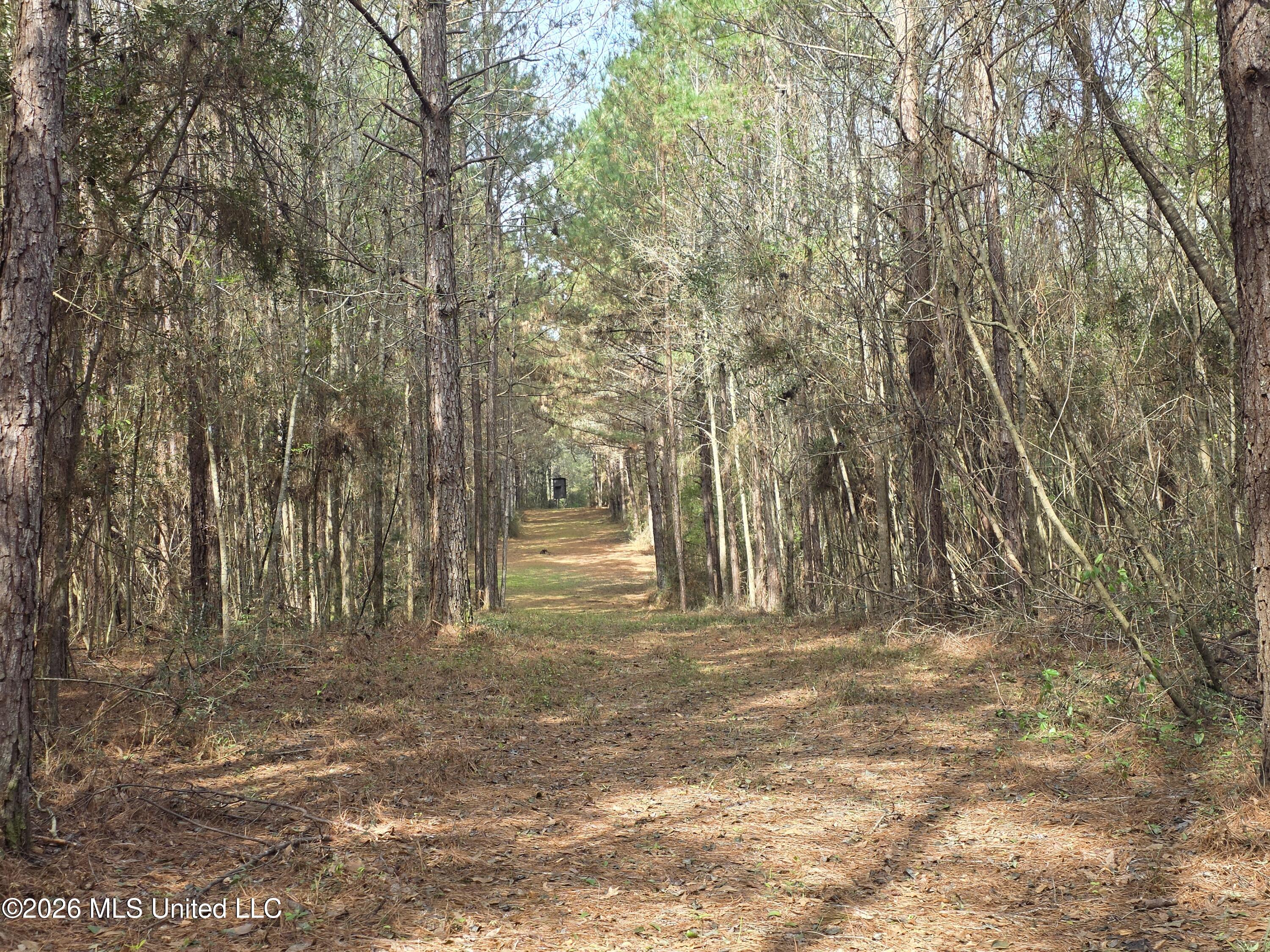 Conerly Drive McComb, MS 39648 - Photo 29 of 40 29391