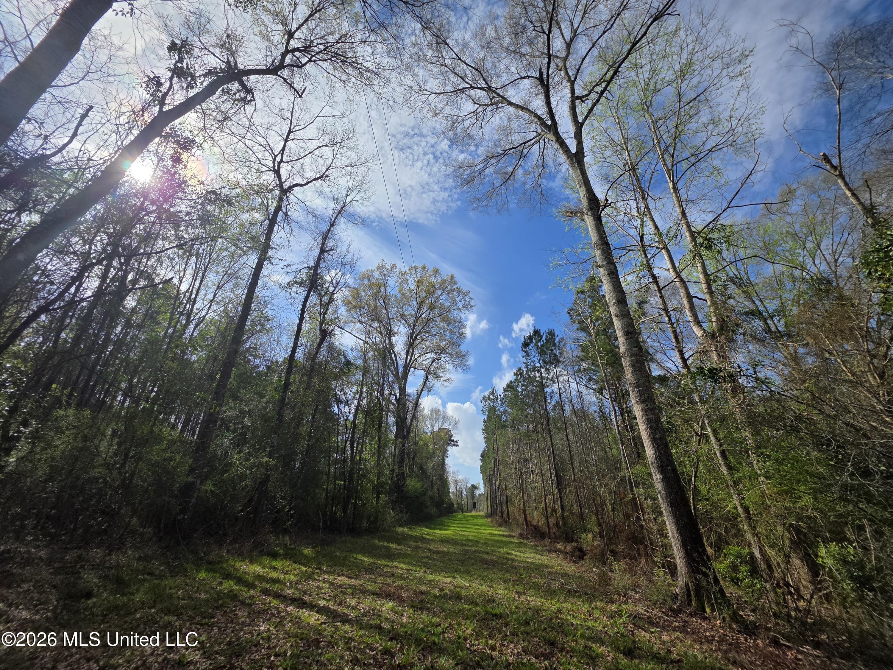 Conerly Drive McComb, MS 39648 - Photo 30 of 40 29386