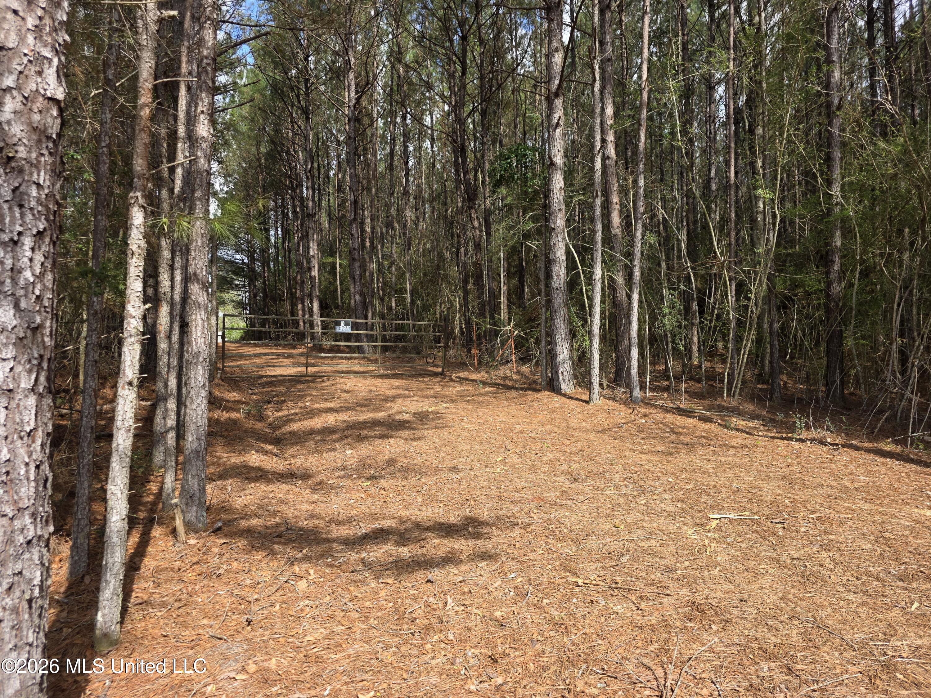 Conerly Drive McComb, MS 39648 - Photo 3 of 40 29521
