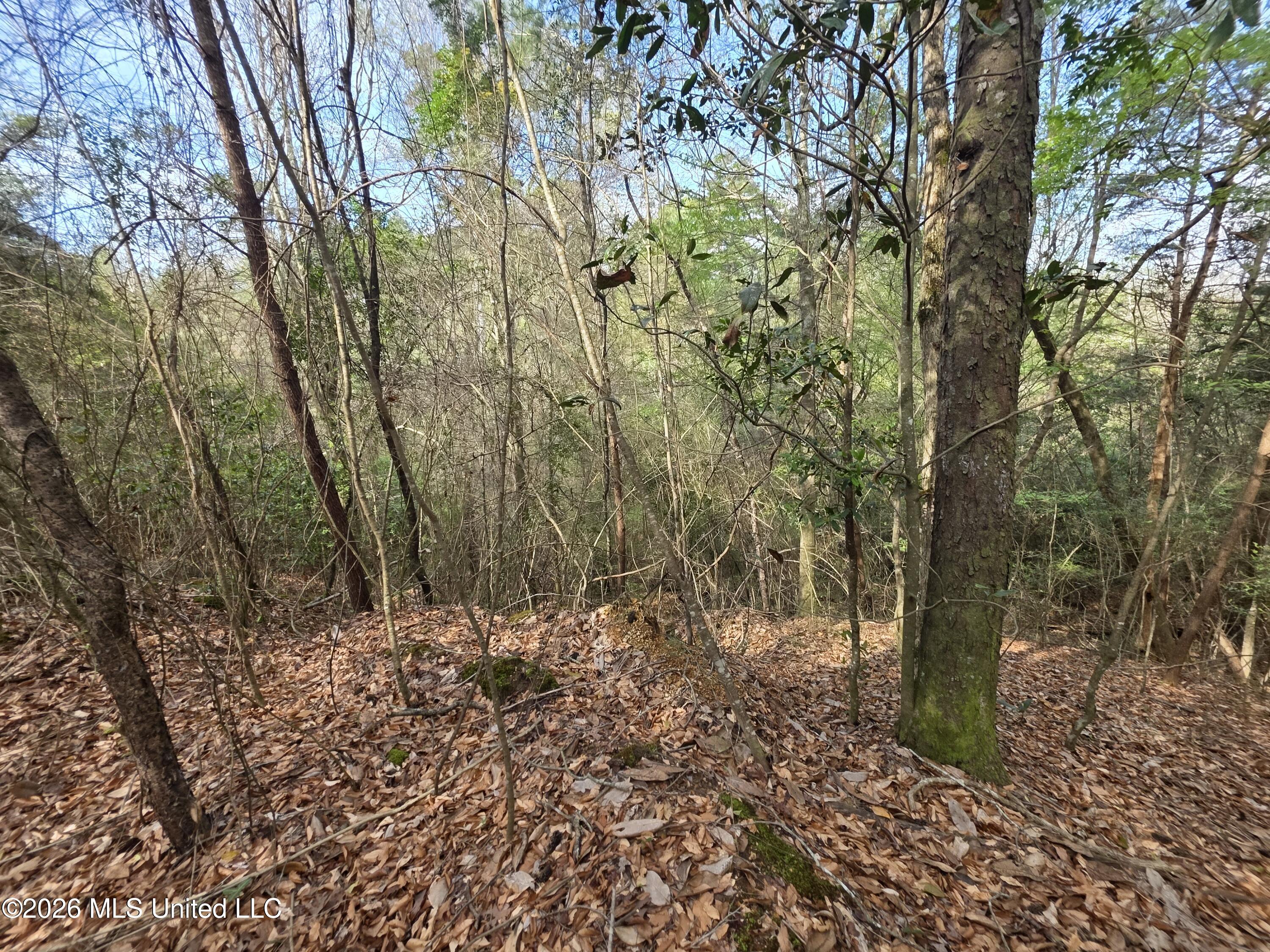 Conerly Drive McComb, MS 39648 - Photo 31 of 40 29379