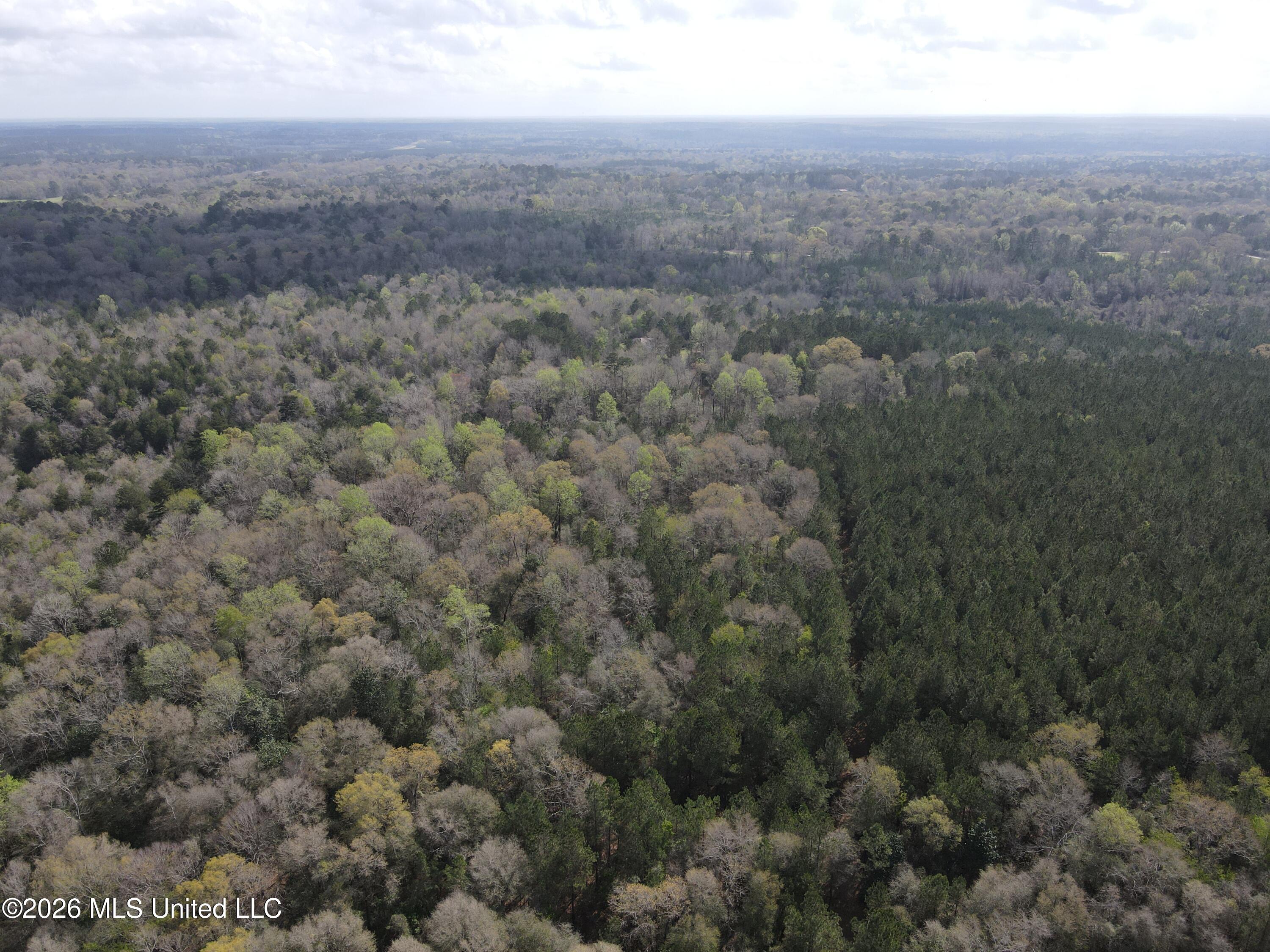 Conerly Drive McComb, MS 39648 - Photo 33 of 40 29467