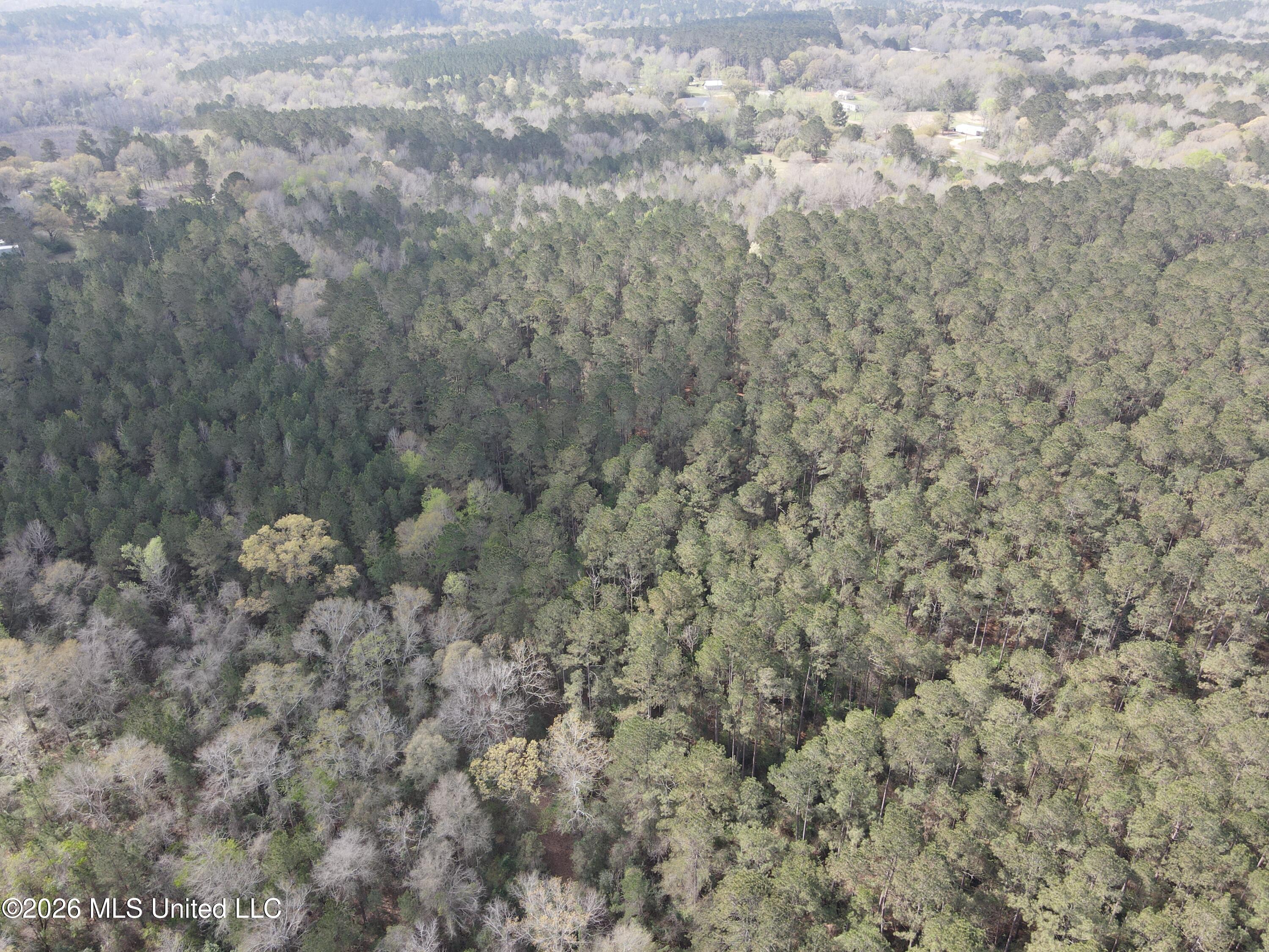 Conerly Drive McComb, MS 39648 - Photo 35 of 40 29478