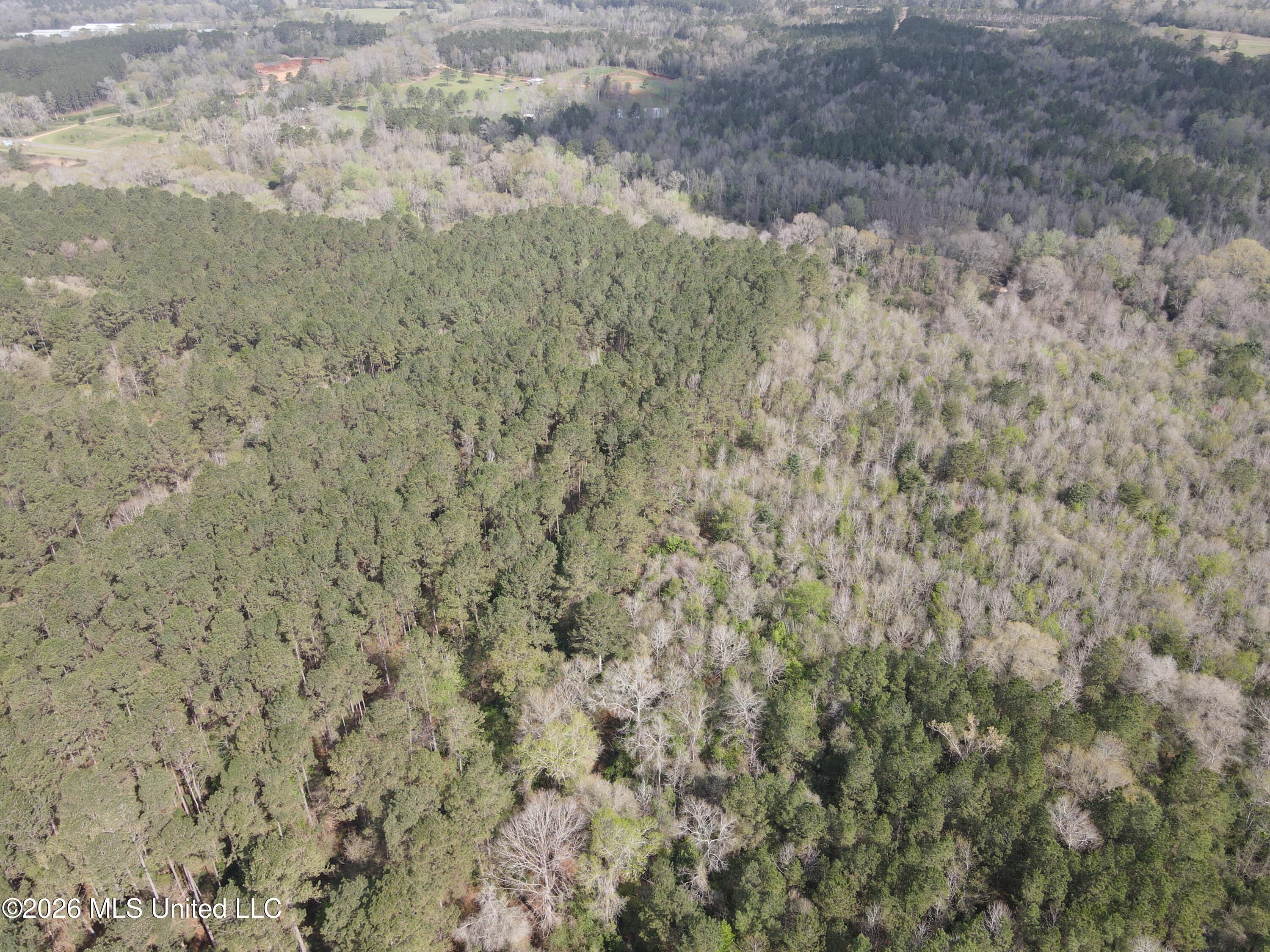 Conerly Drive McComb, MS 39648 - Photo 36 of 40 29476