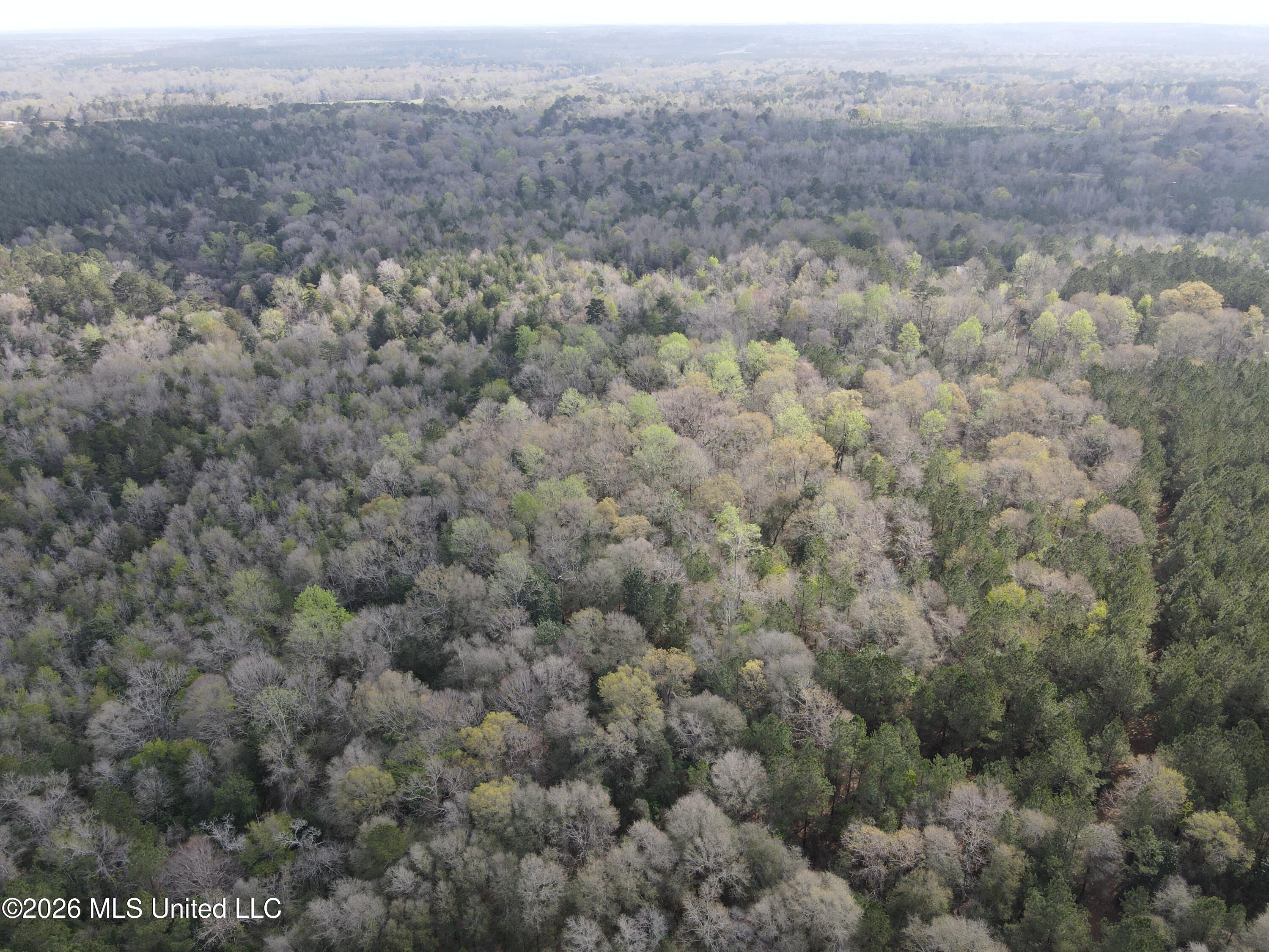 Conerly Drive McComb, MS 39648 - Photo 40 of 40 29473