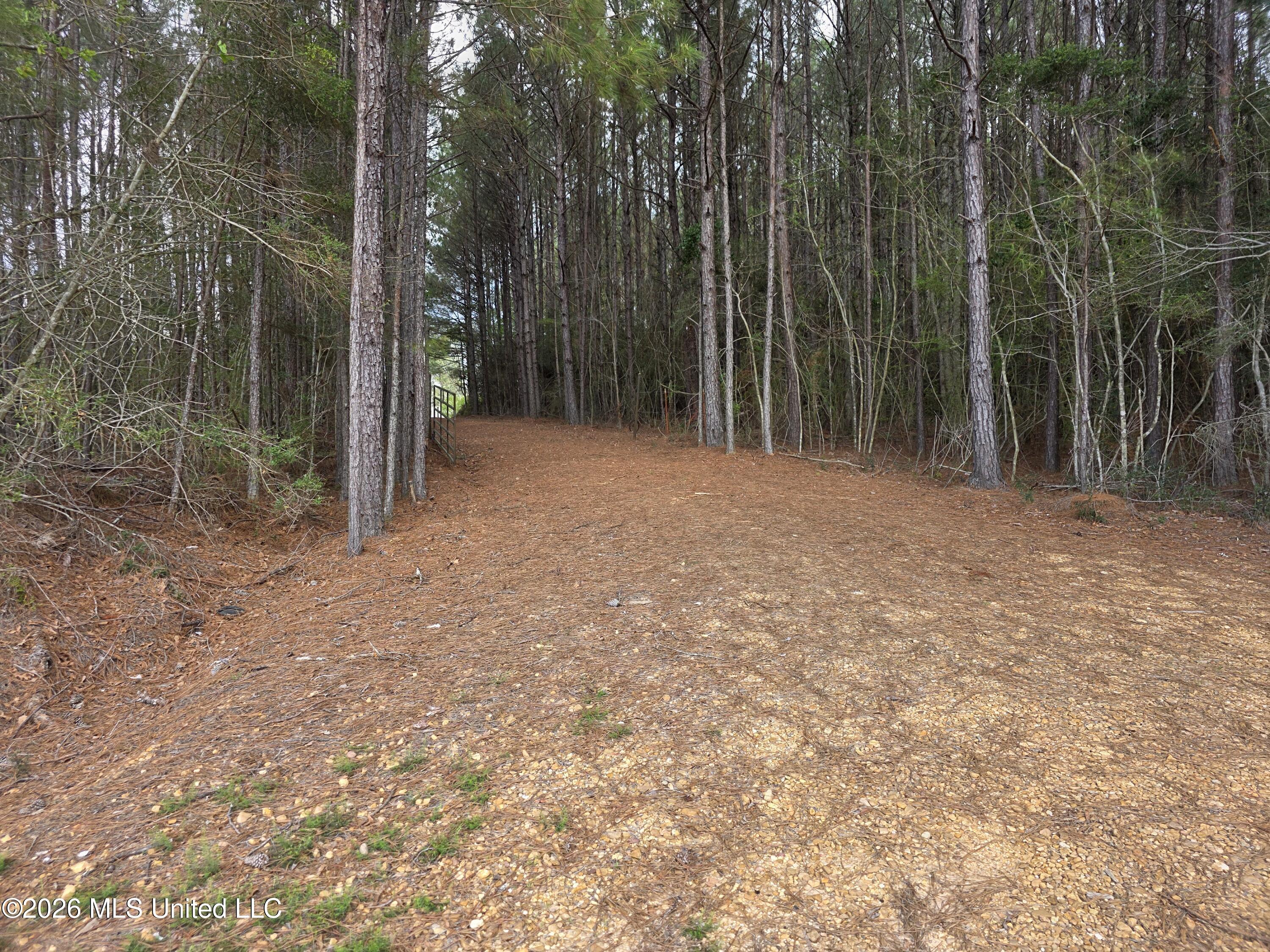 Conerly Drive McComb, MS 39648 - Photo 4 of 40 29513