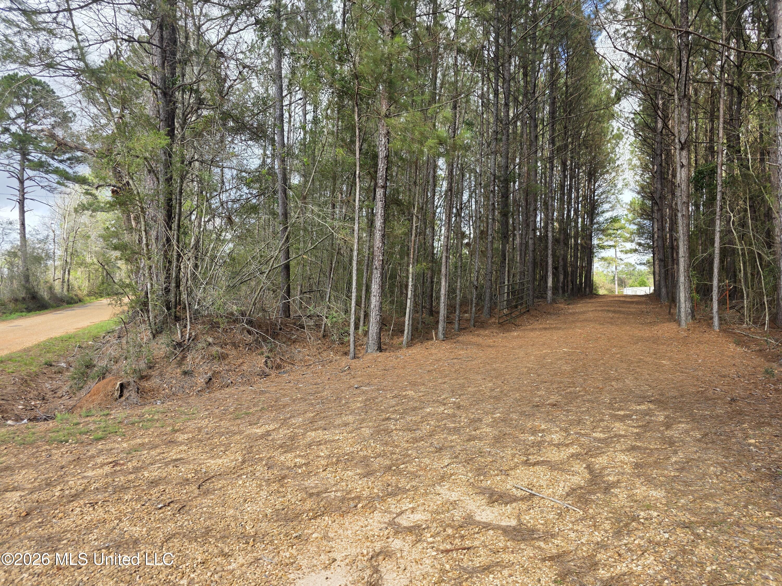 Conerly Drive McComb, MS 39648 - Photo 5 of 40 29512