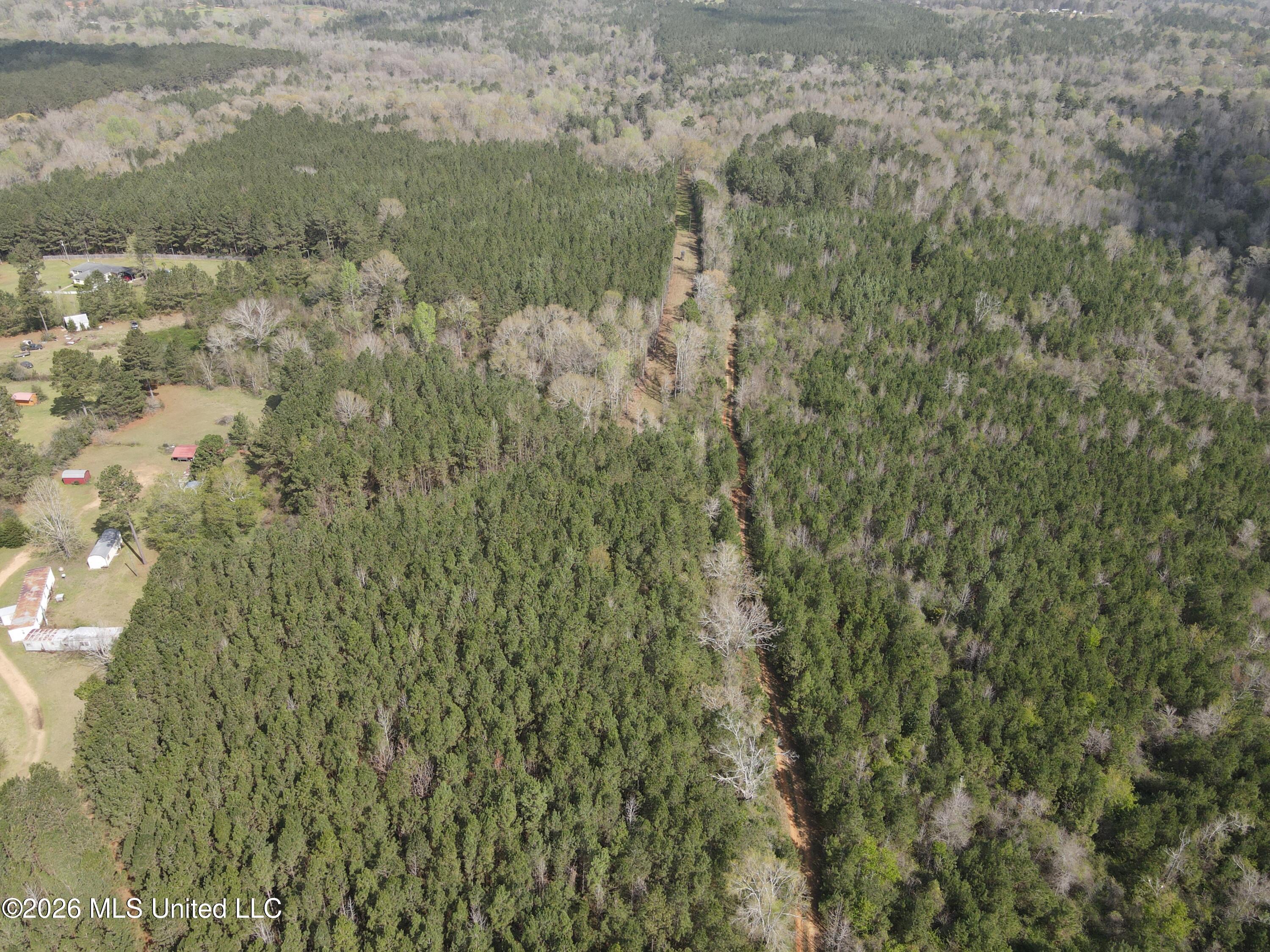 Conerly Drive McComb, MS 39648 - Photo 7 of 40 29506