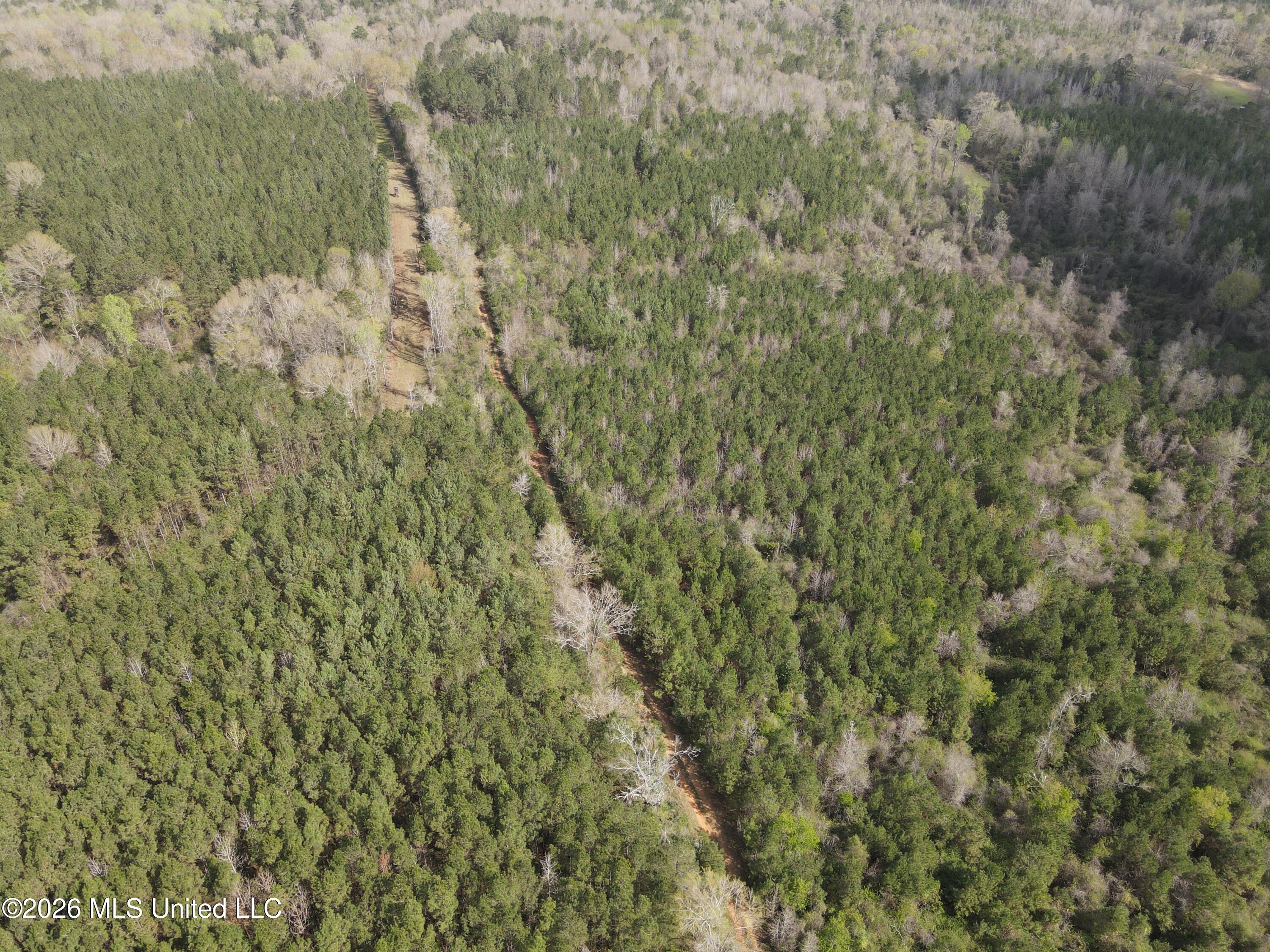 Conerly Drive McComb, MS 39648 - Photo 8 of 40 29503