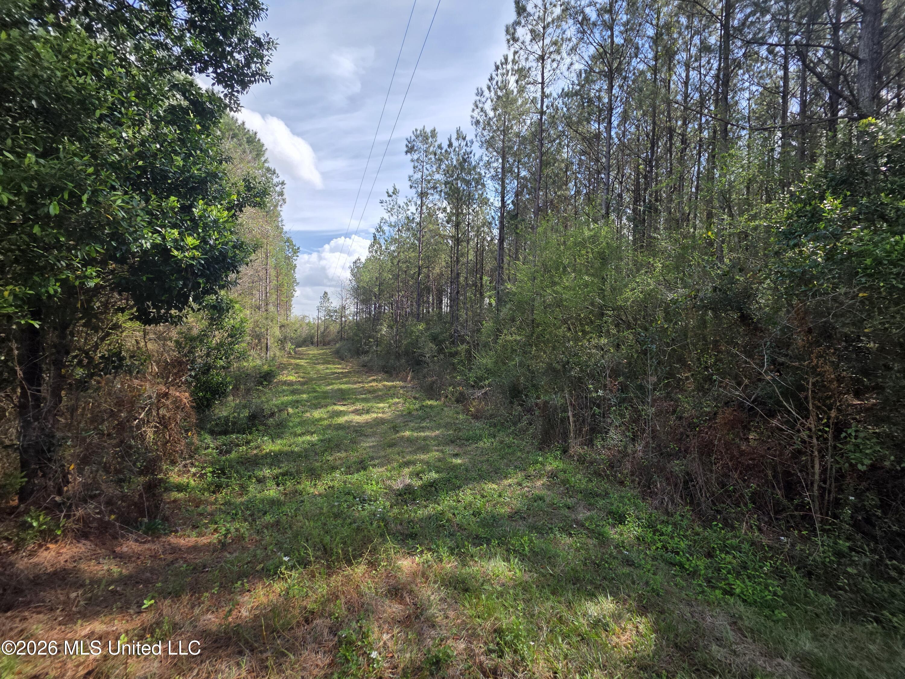 Conerly Drive McComb, MS 39648 - Photo 10 of 40 29501