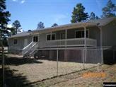 2224 Roundabout Way Overgaard, AZ 85933 - Photo 2 of 4 a view of a house with a yard