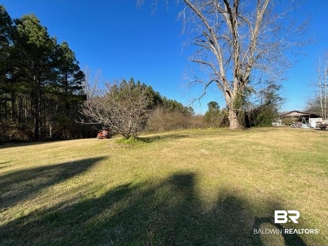 263 Davenport Street Greenville, AL 36037 - Photo 4 of 25