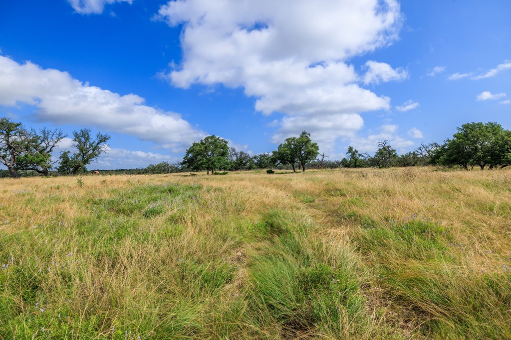 436 Stevens Ranch Road, Unit 8 Harper, TX 78631 - Photo 19 of 25