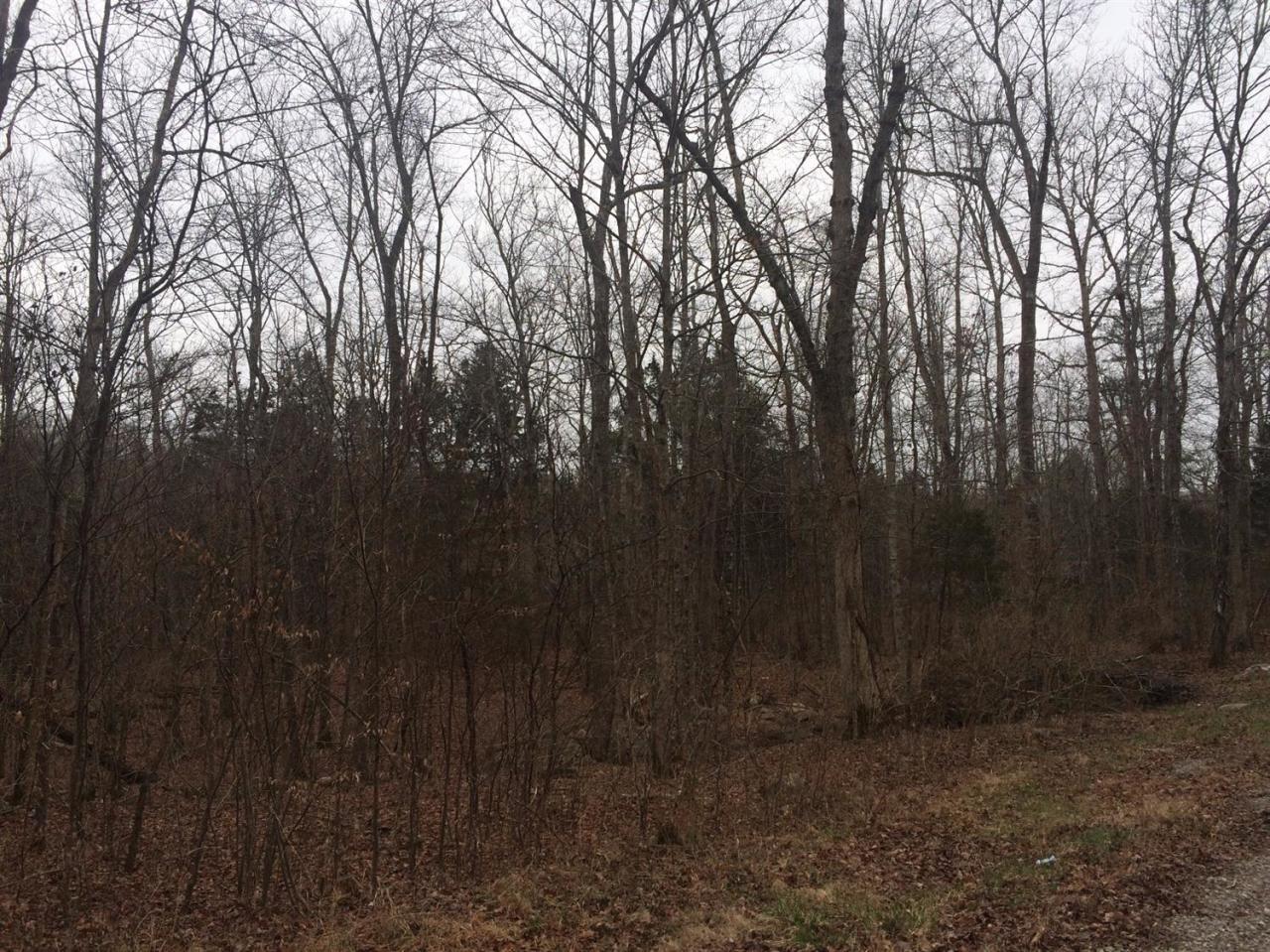 58 Lakeview Road, Unit 3 Burnside, KY 42519 - Photo 2 of 4 Additional Photo