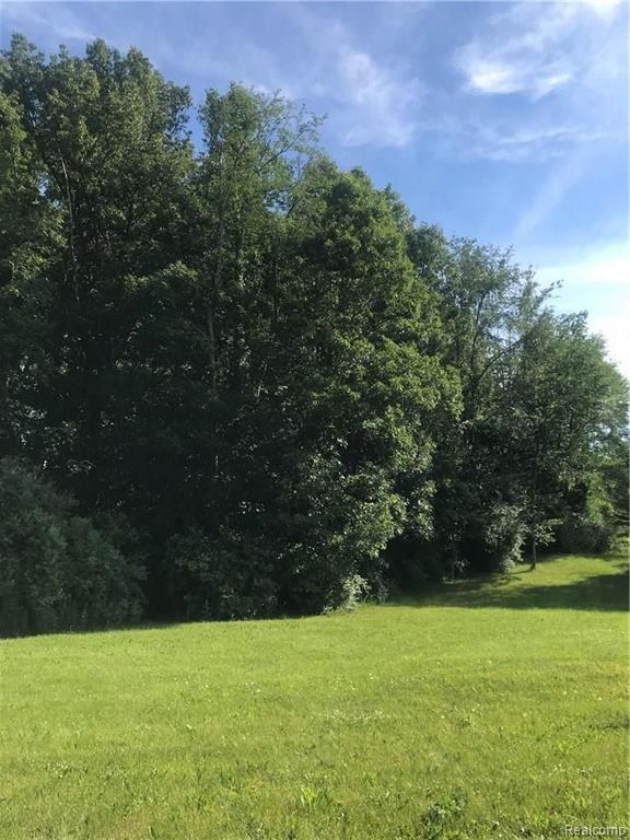 Lot 67 Prairie Rose Howell, MI 48843 - Photo 6 of 16