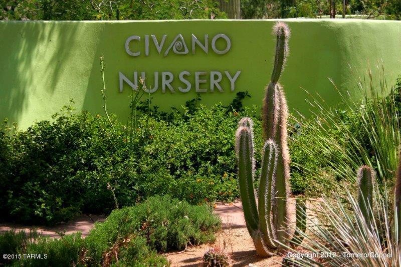 5542 South Creosote Ridge Way Tucson, AZ 85747 - Photo 32 of 40 Gallery Image 32