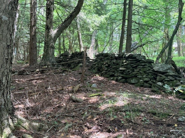 Lot 35 Webster Brook Road Bloomville, NY 13739 - Photo 28 of 42