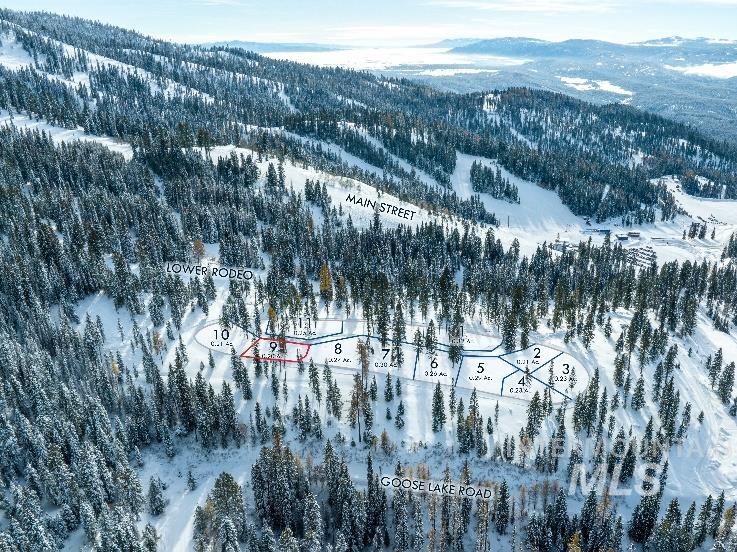 Tbd Tbd North Loop New Meadows, ID 83654 - Photo 3 of 12