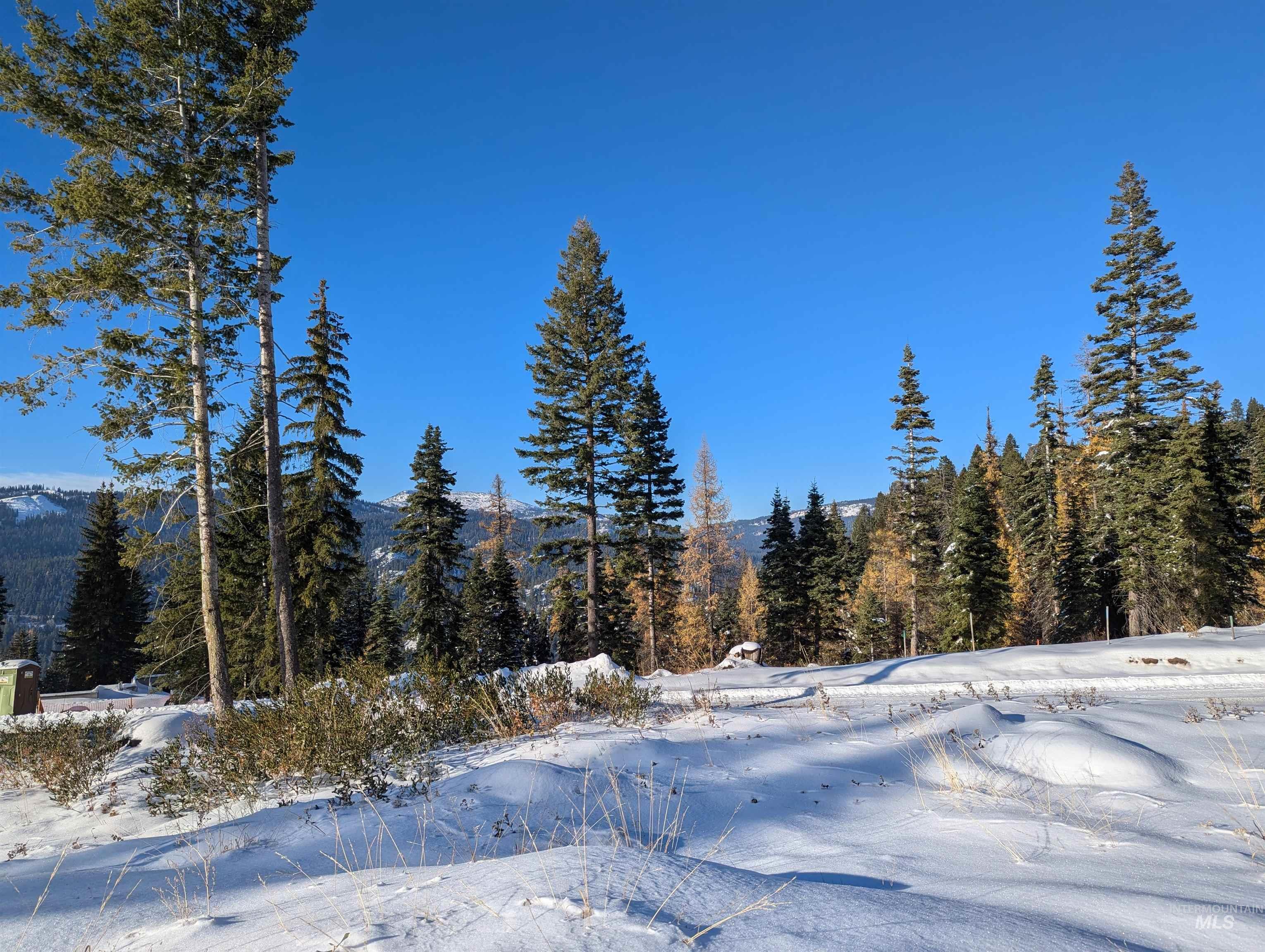 Tbd Tbd North Loop New Meadows, ID 83654 - Photo 4 of 12