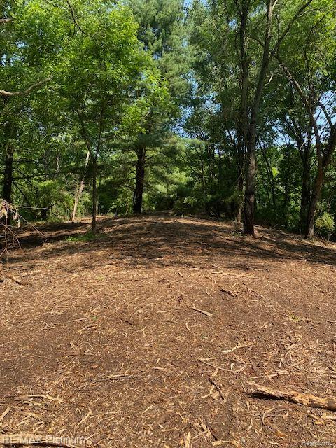 7 Sleaford-parcel 7 - 2 Acres Road Howell, MI 48843 - Photo 14 of 45