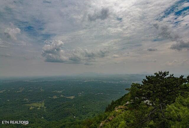 Top Road Sevierville, TN 37876 - Photo 2 of 6 20240524012042357573000000-o