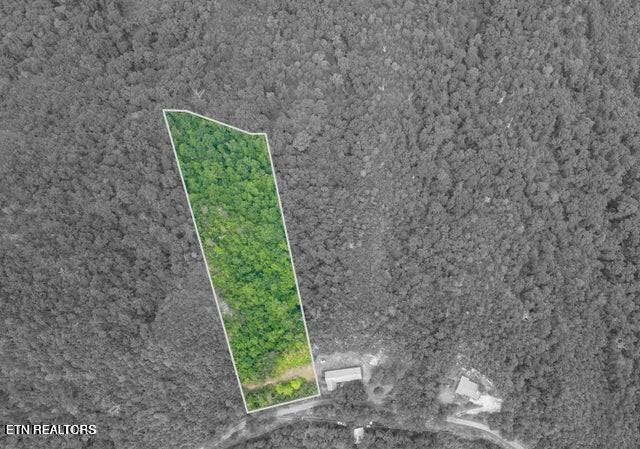 Top Road Sevierville, TN 37876 - Photo 4 of 6 20240524012046969500000000-o