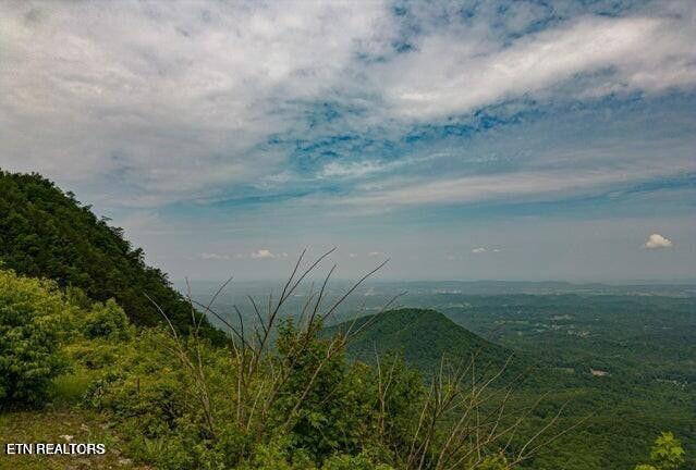 Top Road Sevierville, TN 37876 - Photo 5 of 6 20240524012044963206000000-o