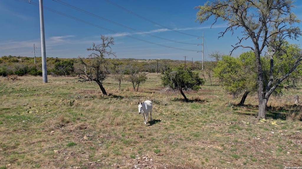 1443 Gina Road Harper, TX 78631 - Photo 49 of 49 a view of a dry yard