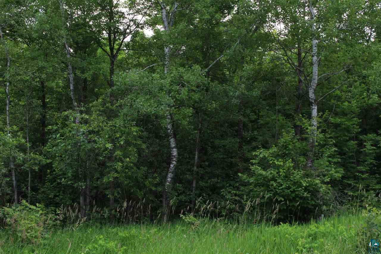 Xxx Ugstad Road Hermantown, MN 55811 - Photo 3 of 4 Gallery Image 3
