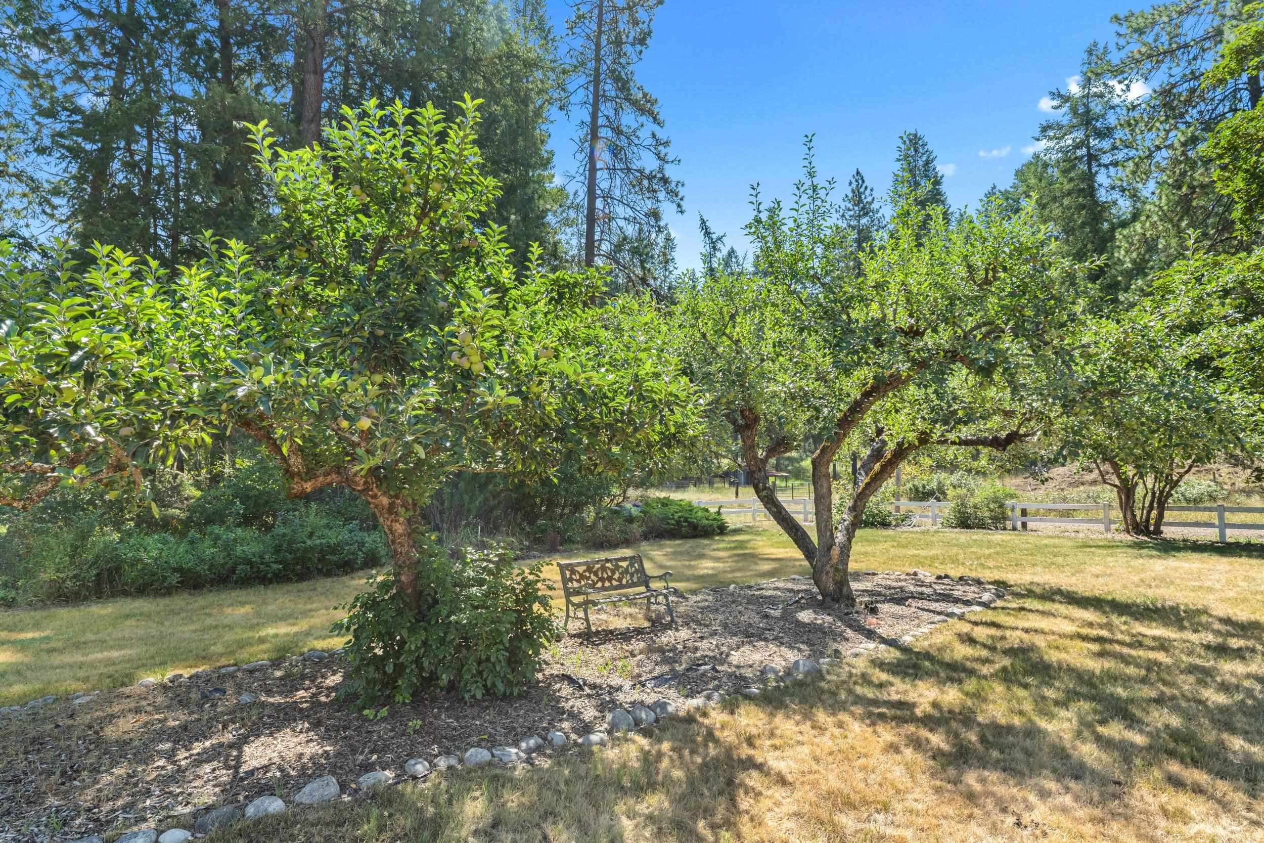 2339 Kettle River Road Kettle Falls, WA 99141 - Photo 13 of 42