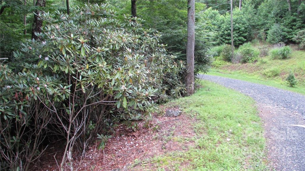 10 Deer Park Lake Road Spruce Pine, NC 28777 - Photo 8 of 30 a view of a yard with a tree