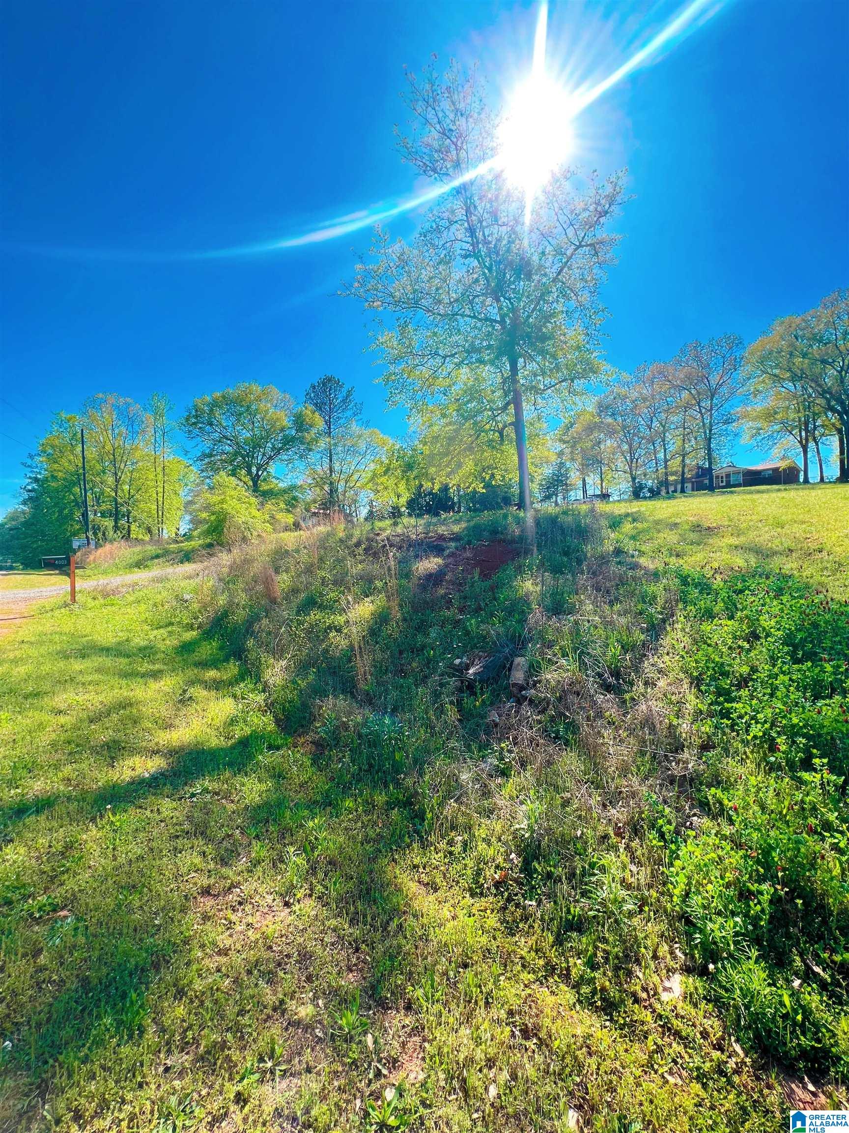 4003 Curry Station Road Munford, AL 36268 - Photo 2 of 37