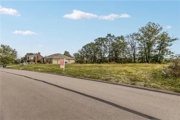 a view of a house with a yard and a large tree