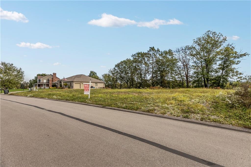 a view of a house with a yard and a large tree