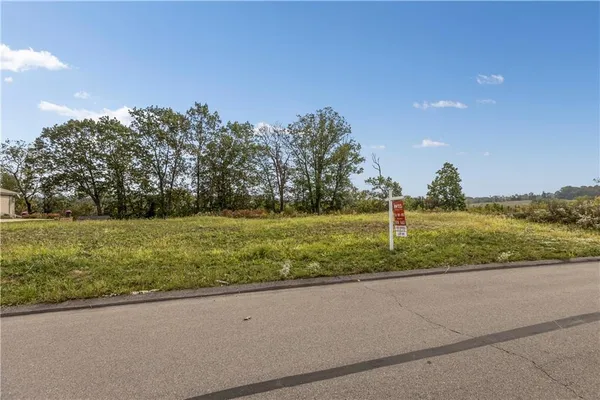 a view of a field with a trees in the background