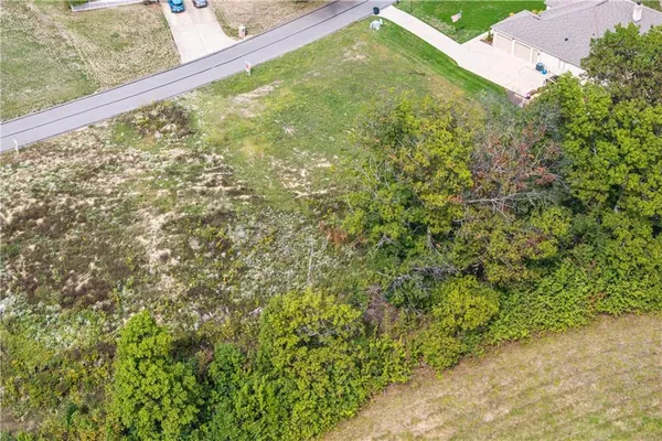 a view of a garden from a window