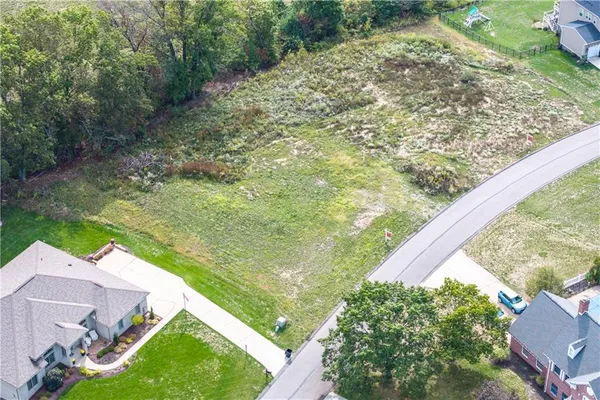 a view of a yard with potted plants