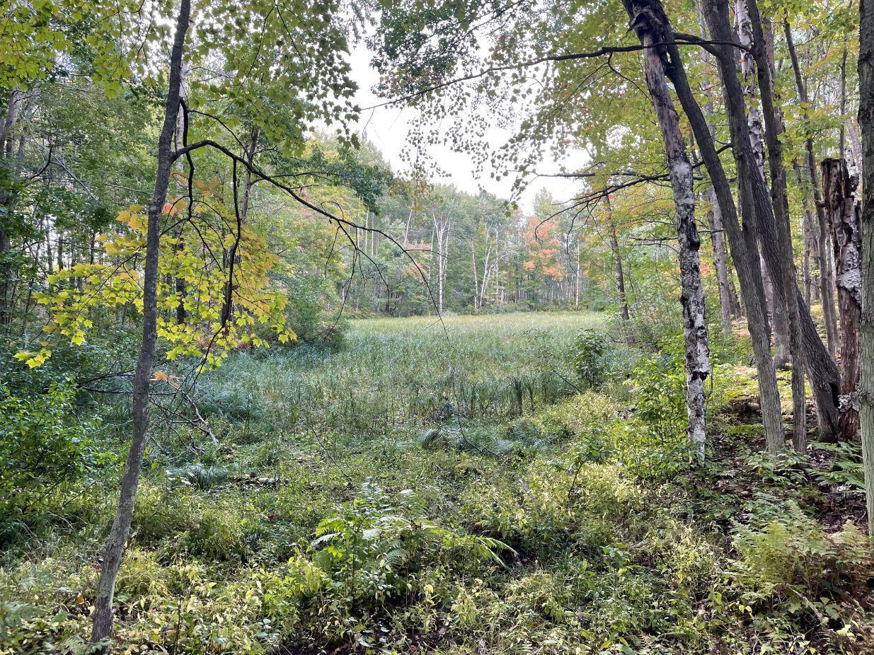 68255 Wolf Creek Road Bruno, MN 55712 - Photo 13 of 54 Gallery Image 13