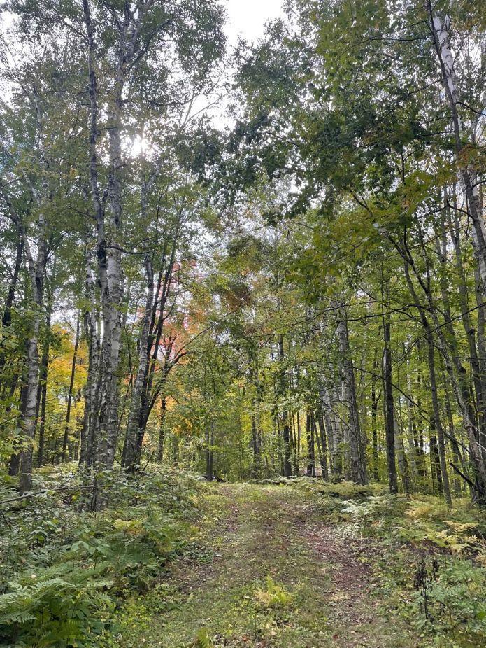 68255 Wolf Creek Road Bruno, MN 55712 - Photo 19 of 54 Gallery Image 19