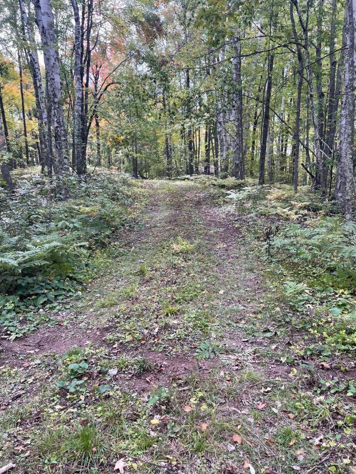 68255 Wolf Creek Road Bruno, MN 55712 - Photo 34 of 54 Gallery Image 34