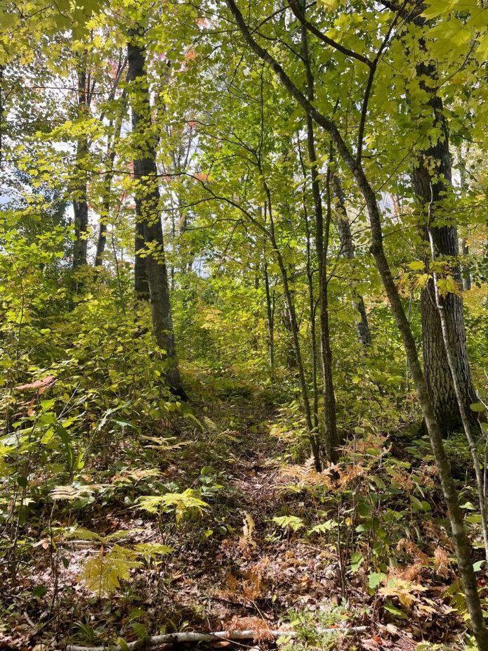 68255 Wolf Creek Road Bruno, MN 55712 - Photo 41 of 54 Gallery Image 41