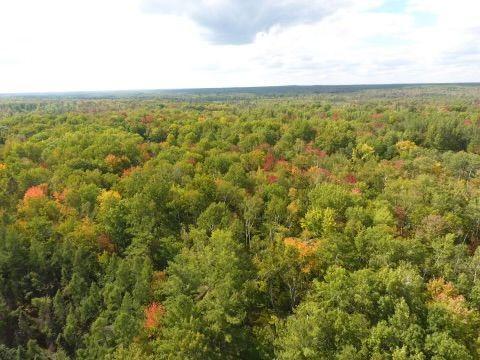 68255 Wolf Creek Road Bruno, MN 55712 - Photo 43 of 54 Gallery Image 43