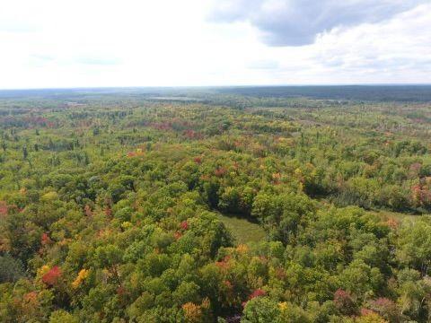 68255 Wolf Creek Road Bruno, MN 55712 - Photo 45 of 54 Gallery Image 45