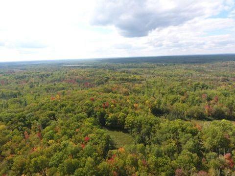 68255 Wolf Creek Road Bruno, MN 55712 - Photo 47 of 54 Gallery Image 47