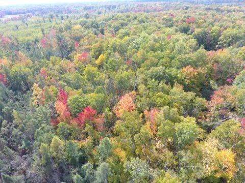 68255 Wolf Creek Road Bruno, MN 55712 - Photo 50 of 54 Gallery Image 50