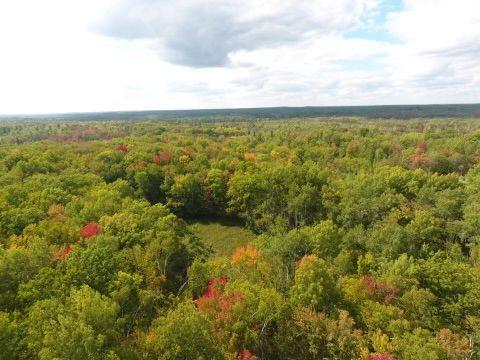68255 Wolf Creek Road Bruno, MN 55712 - Photo 52 of 54 Gallery Image 52