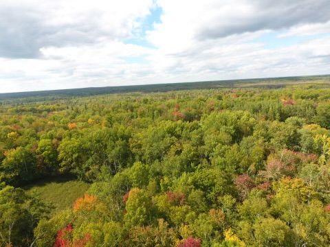 68255 Wolf Creek Road Bruno, MN 55712 - Photo 53 of 54 Gallery Image 53