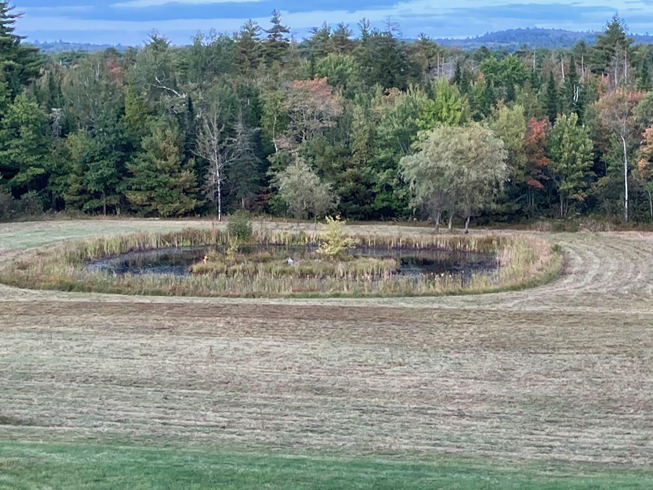 1018 Main Street Meddybemps, ME 04657 - Photo 10 of 24