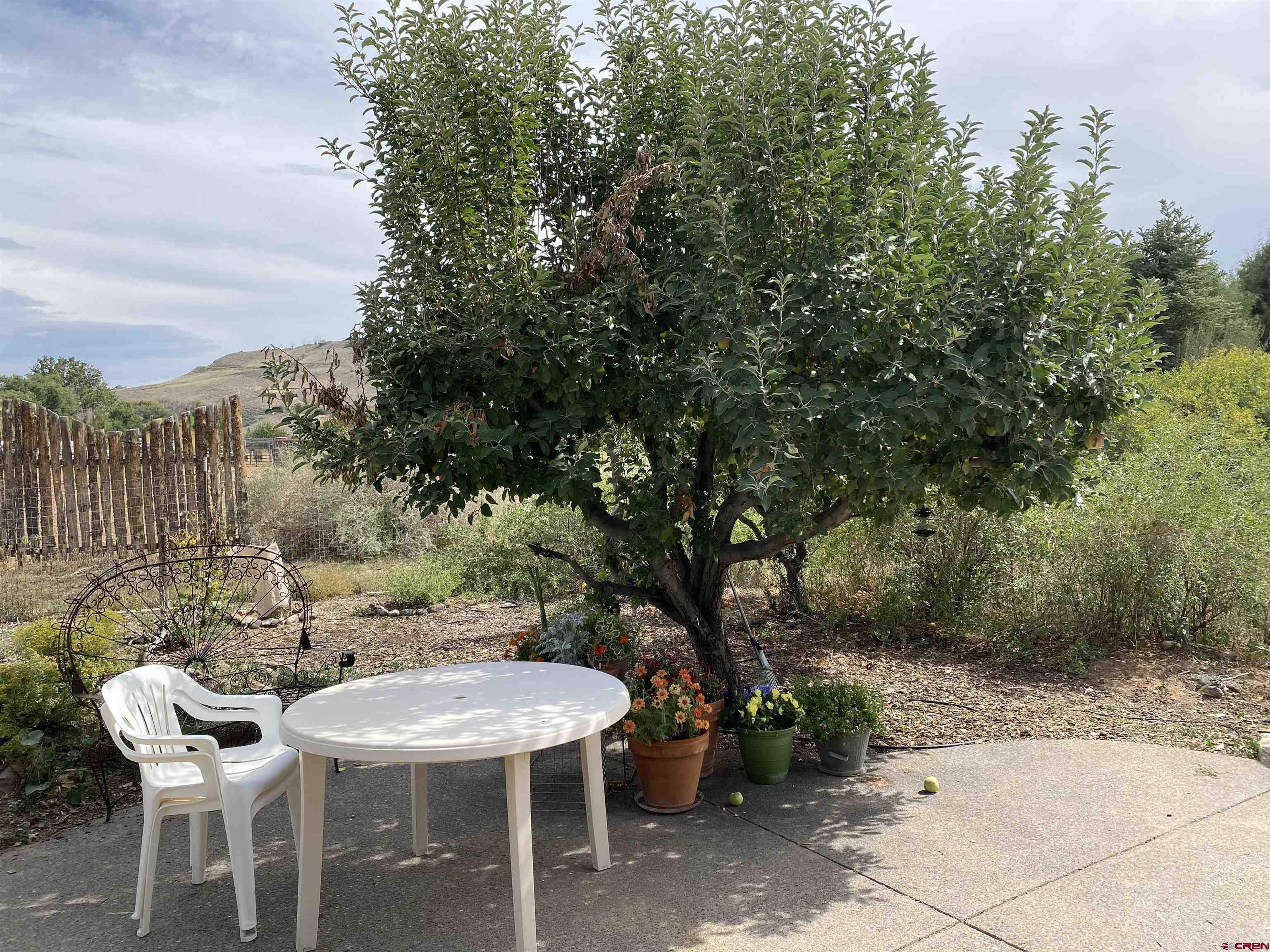 21236 Lanning Road Austin, CO 81410 - Photo 17 of 21 a backyard of a house with table and chairs
