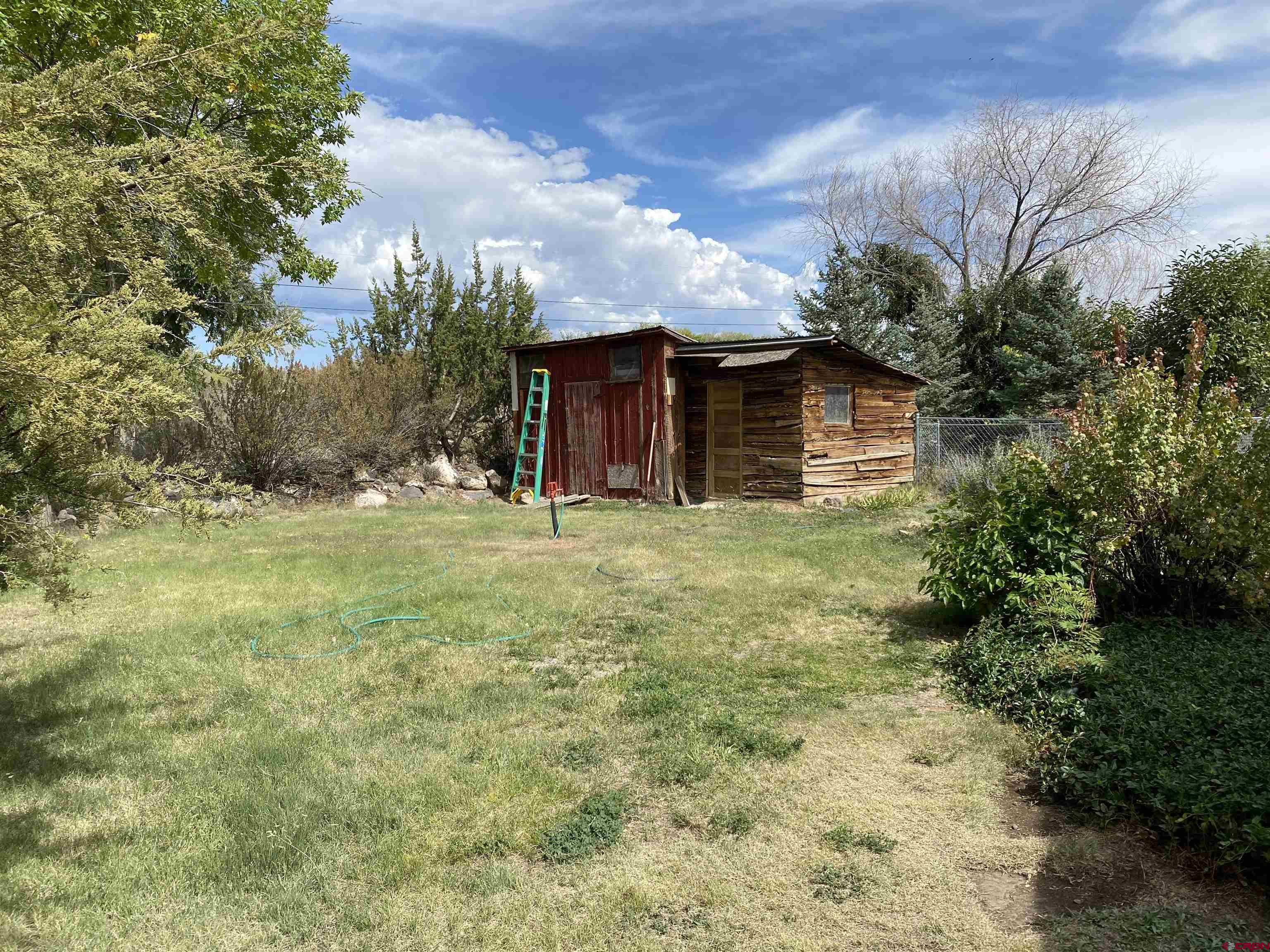 21236 Lanning Road Austin, CO 81410 - Photo 18 of 21 a view of a house with backyard and trees
